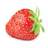 Strawberry seed logo